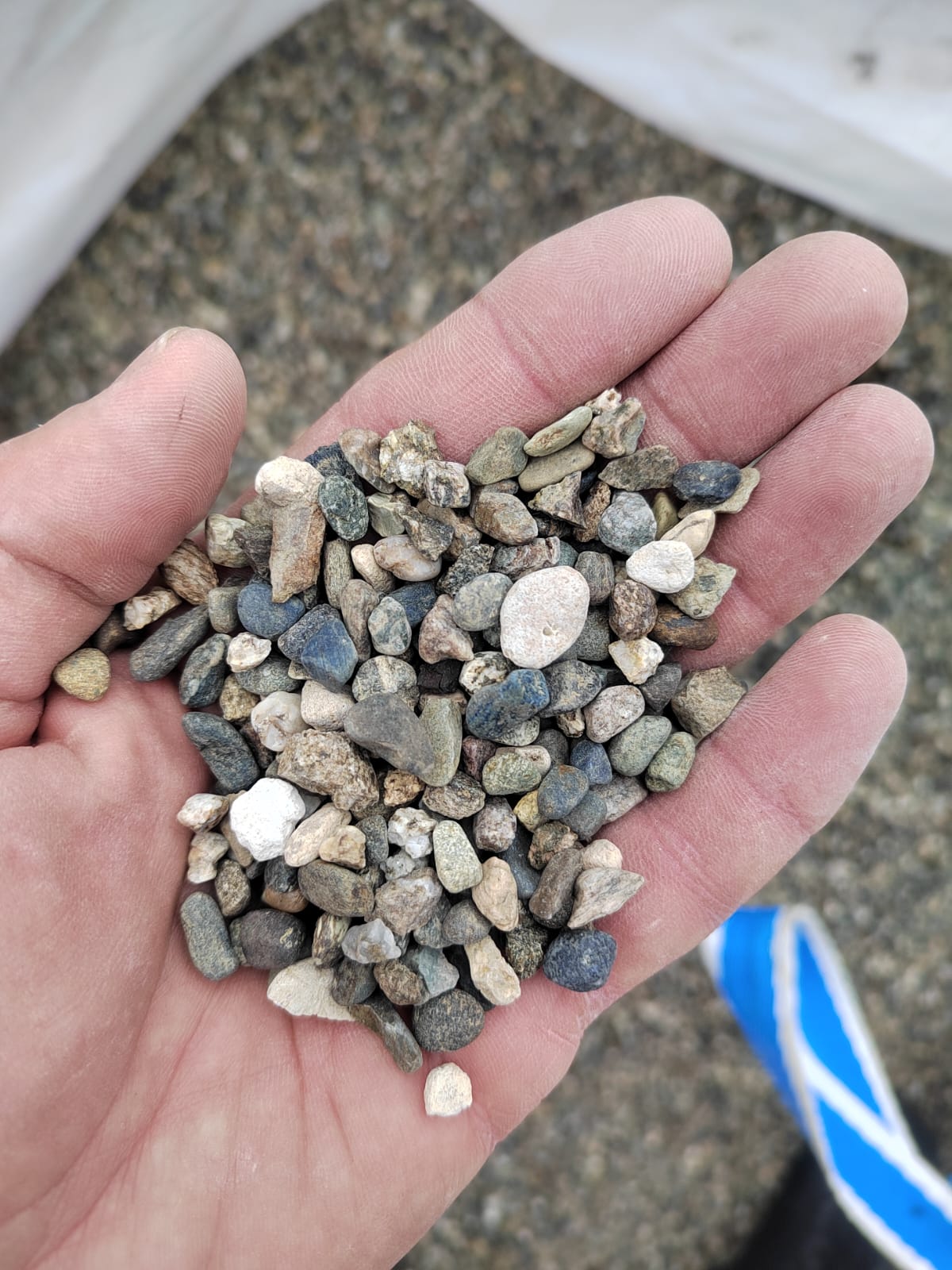  Галька речная окат (серая) фр.5-10 мм купить   в Липецке галька речная серая, серый, темно-серый, светло-серый, коричневый речная окатанная галька декоративная ландшатфная 4000 руб/т   фото 