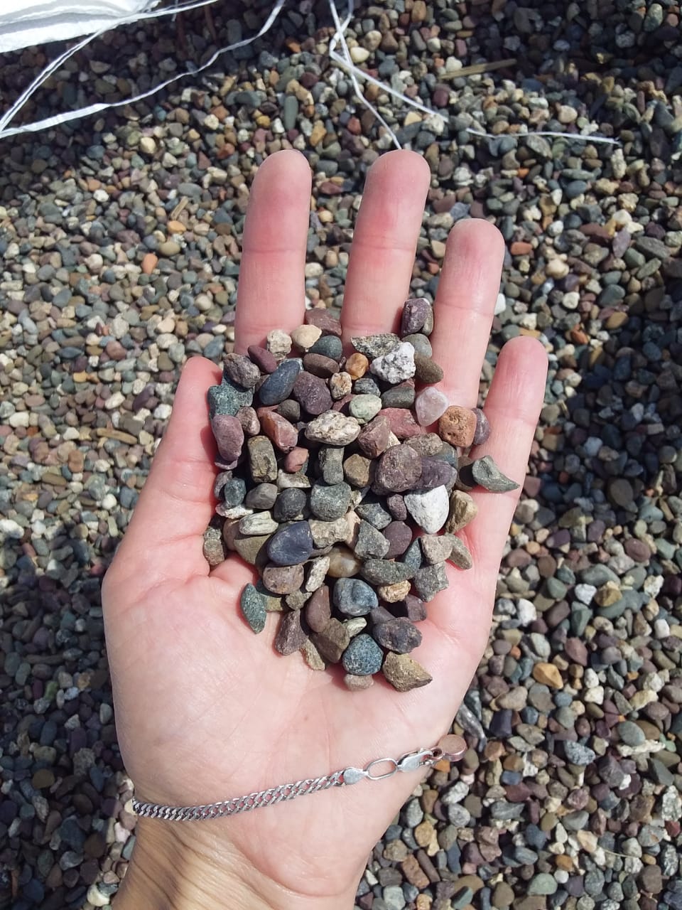  Галька речная окат цветная фр.5-10 мм. купить   в Липецке галька речная белый, серый, красноватый, синий, темно-серый речная окатанная галька декоративная 5000 руб/т   фото 