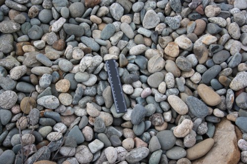  Галька речная окат (пестрая) фр. 20-40 мм. купить   в Липецке галька речная пестрая, серая, серые оттенки галька речная окатанная округлая 4000 руб/т   фото 