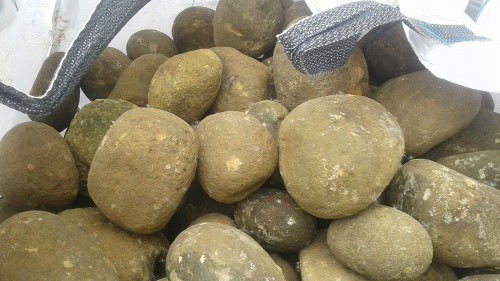  Песчаник ядра, фр. 100-300 мм  купить в Липецке песчаник бежевый серый рыжий речная галька 5 000 руб/т   фото 