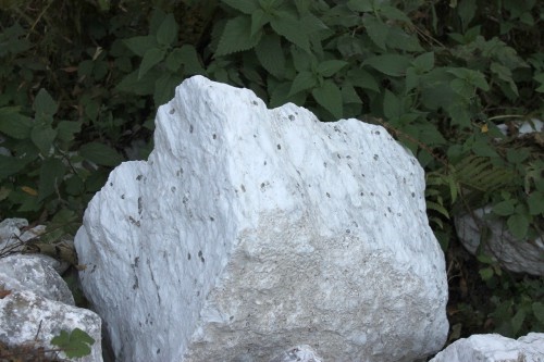  Мраморизированный известняк фр. 100-500 мм.  купить в Липецке известняк серый белый темно-серый сероватый валун природного образования окатанный 7 500 руб/т   фото 