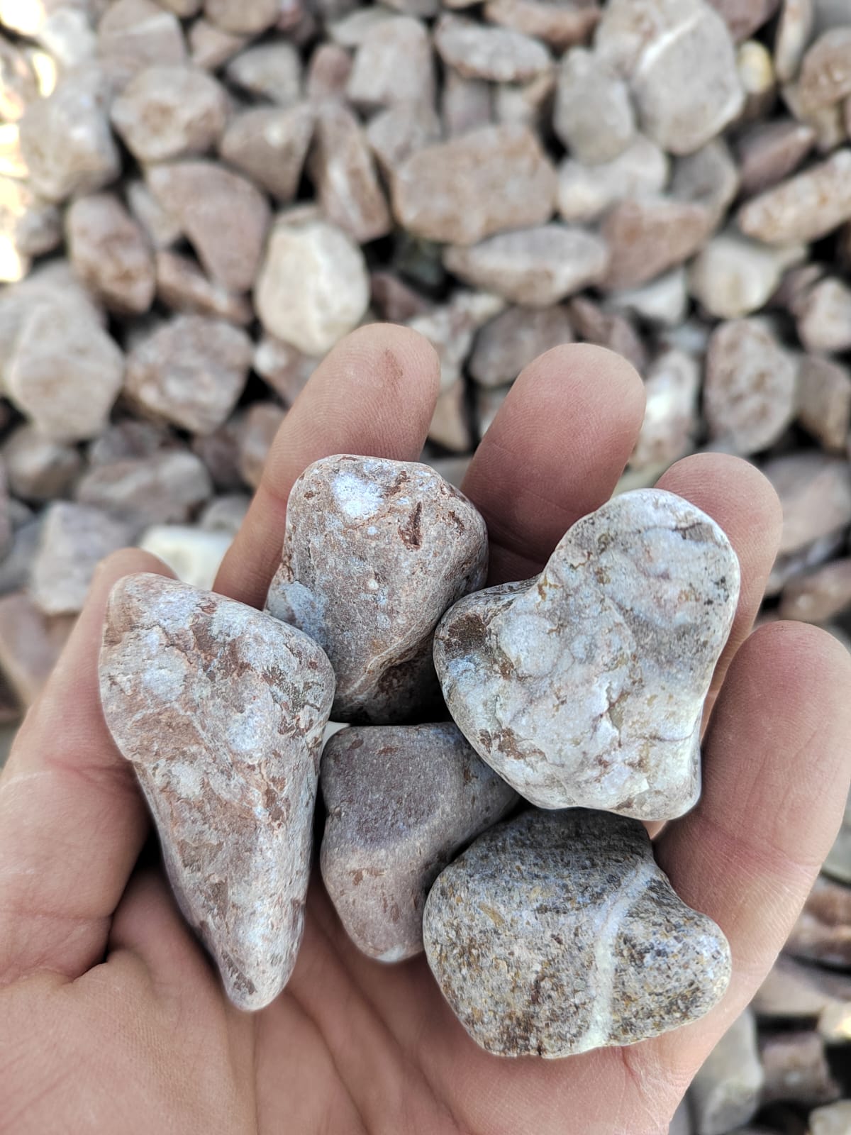  Розовая галька (щебень галтованный розовый) фр.20-40 мм.  купить  в Липецке мрамор розовый, красный оголтованный округлый щебень  13500 руб/т   фото 