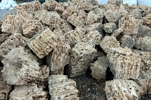  Крымский природный меотис фр. 100-500 мм.  купить в Липецке меотис бежевый рыжий молочный желтый ракушечник 4 500 руб/т   фото 