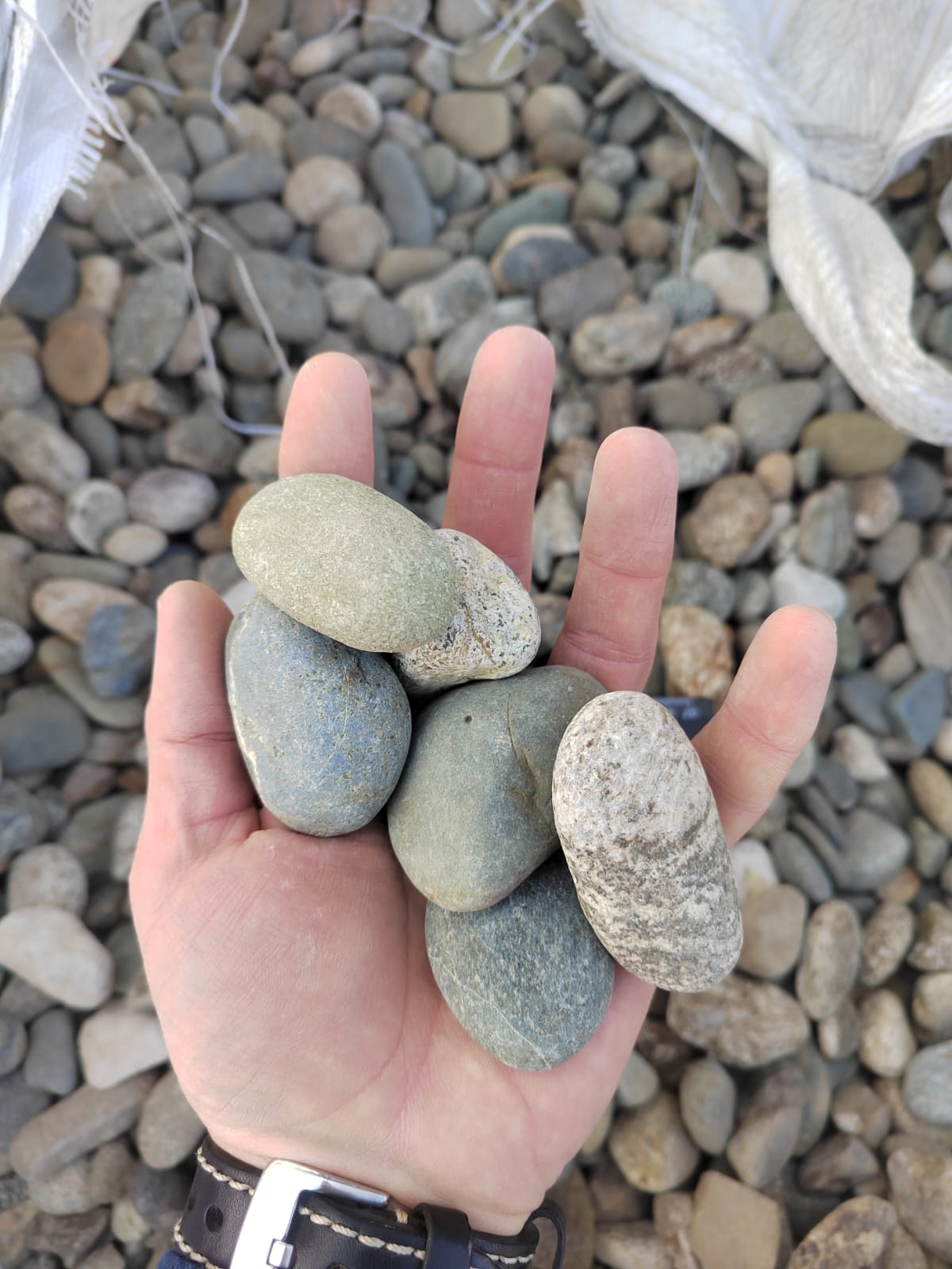  Галька речная окат (пестрая) фр. 20-40 мм. купить   в Липецке галька речная пестрая, серая, серые оттенки галька речная окатанная округлая 4000 руб/т   фото 