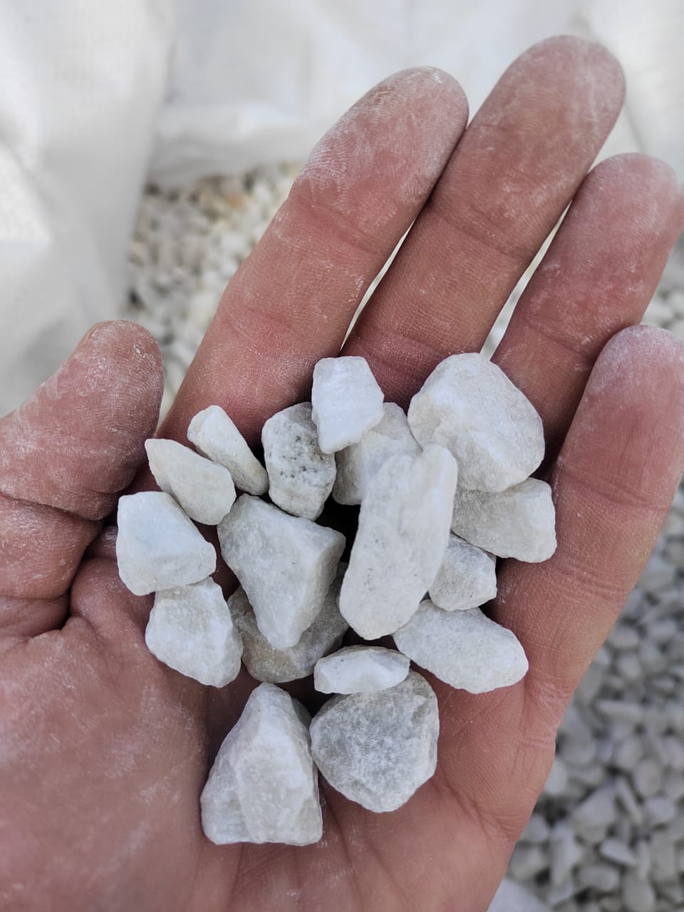  Мраморная крошка, щебень, цвет-белый, фр. 10-20 мм.  купить  в Липецке мрамор белый, молочный айвори каменная ландшафтная декоративная крошка шебня 9500 руб/т   фото 