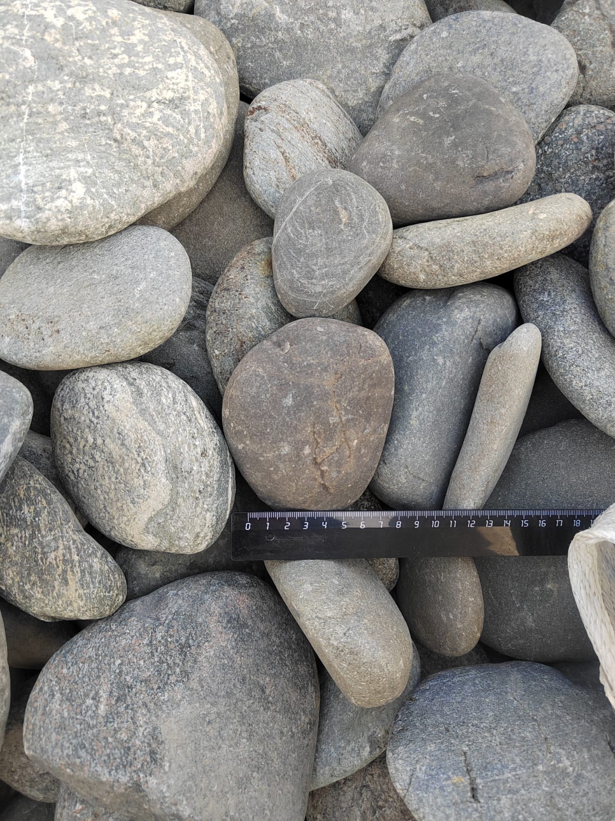 Kamenclub.ru: Галька речная плоская (ассорти) фр. 70-150 мм. купить   в  Липецкегалька галечник серый белый темно-серый синий светло-серый плоская природная галька  6200 руб/т   фото КАМЕНЬ КЛУБ