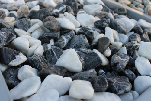  Микс шахматной гальки  (щебень галтованный микс:: белый-черный) фр.20-40 мм  купить  в Липецке мрамор белый, черный мраморный галтованный щебень 14500 руб/т   фото 