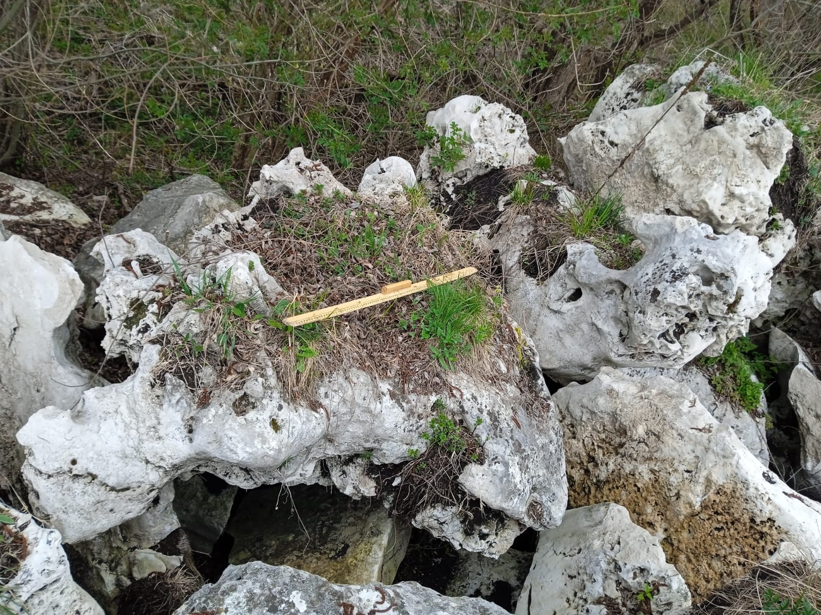  Выветренный известняк (степной) фр. 500-1500 мм.  купить в Липецке    8 500 руб/т   фото 