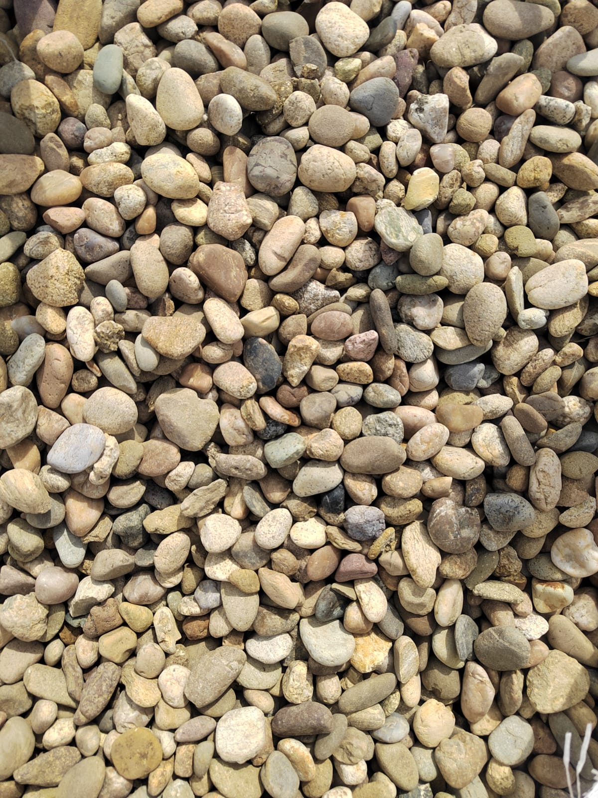  Галька речная окат рыжая фр. 20-40 мм. купить   в Липецке галька речная окатанная рыжая желтая серая округлая речная галька 4000 руб/т   фото 